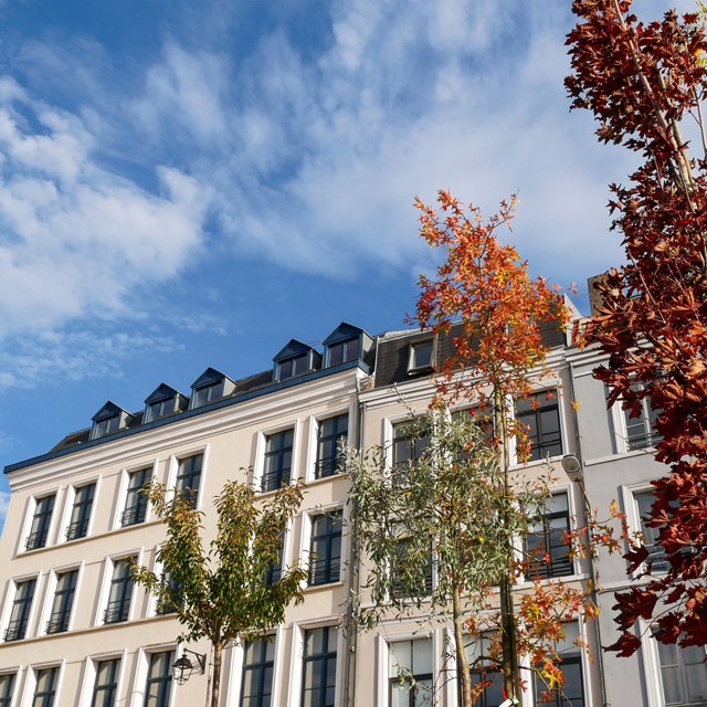 Expert immobilier lille